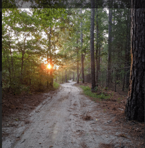 Best Hiking In Pinehurst North Carolina