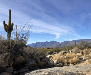 Best Hiking in Tucson, Arizona
